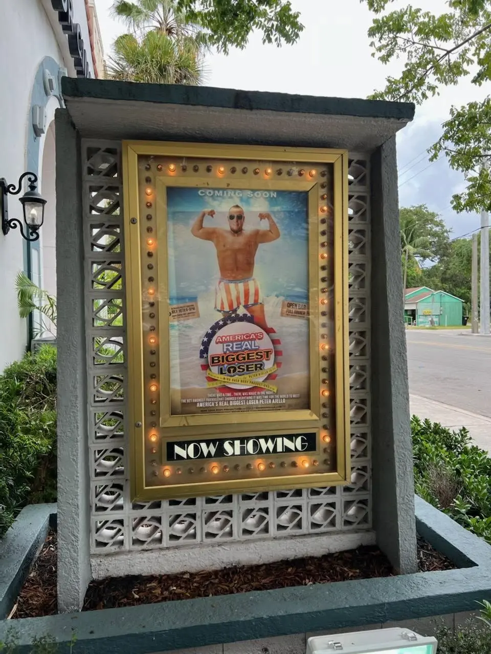 America’s Real Biggest Loser poster in an illuminated Now Showing theatre display